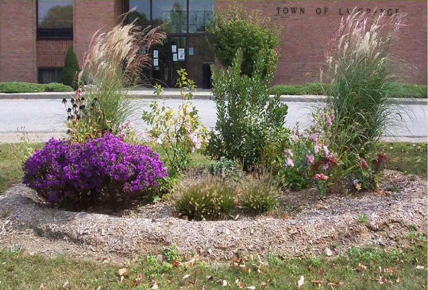 CAC Rain Garden