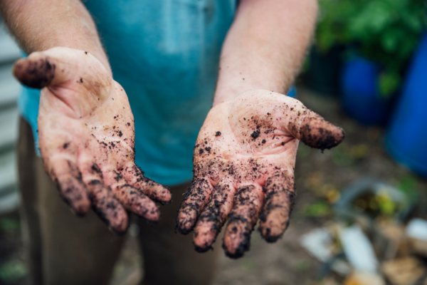 Muddy Hands